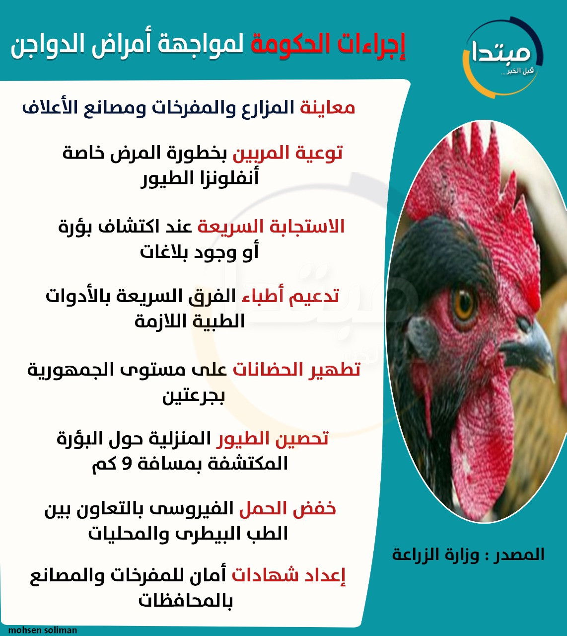 دواجن