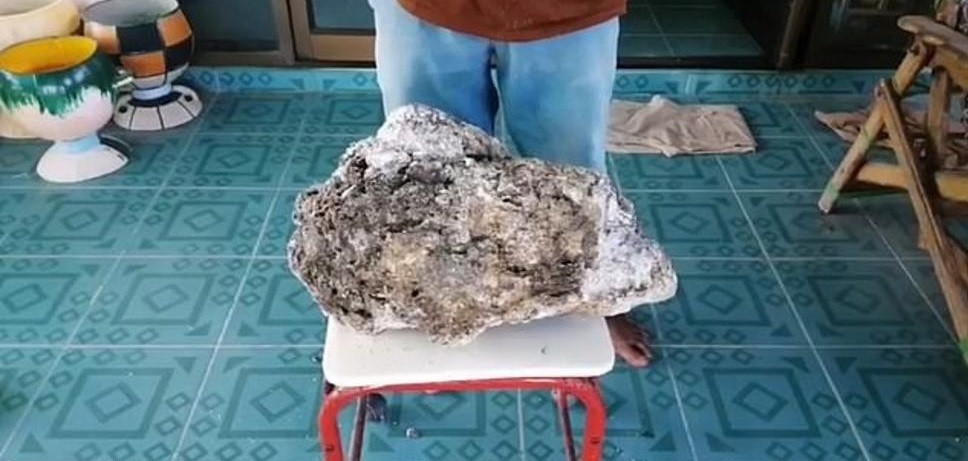 العنبر