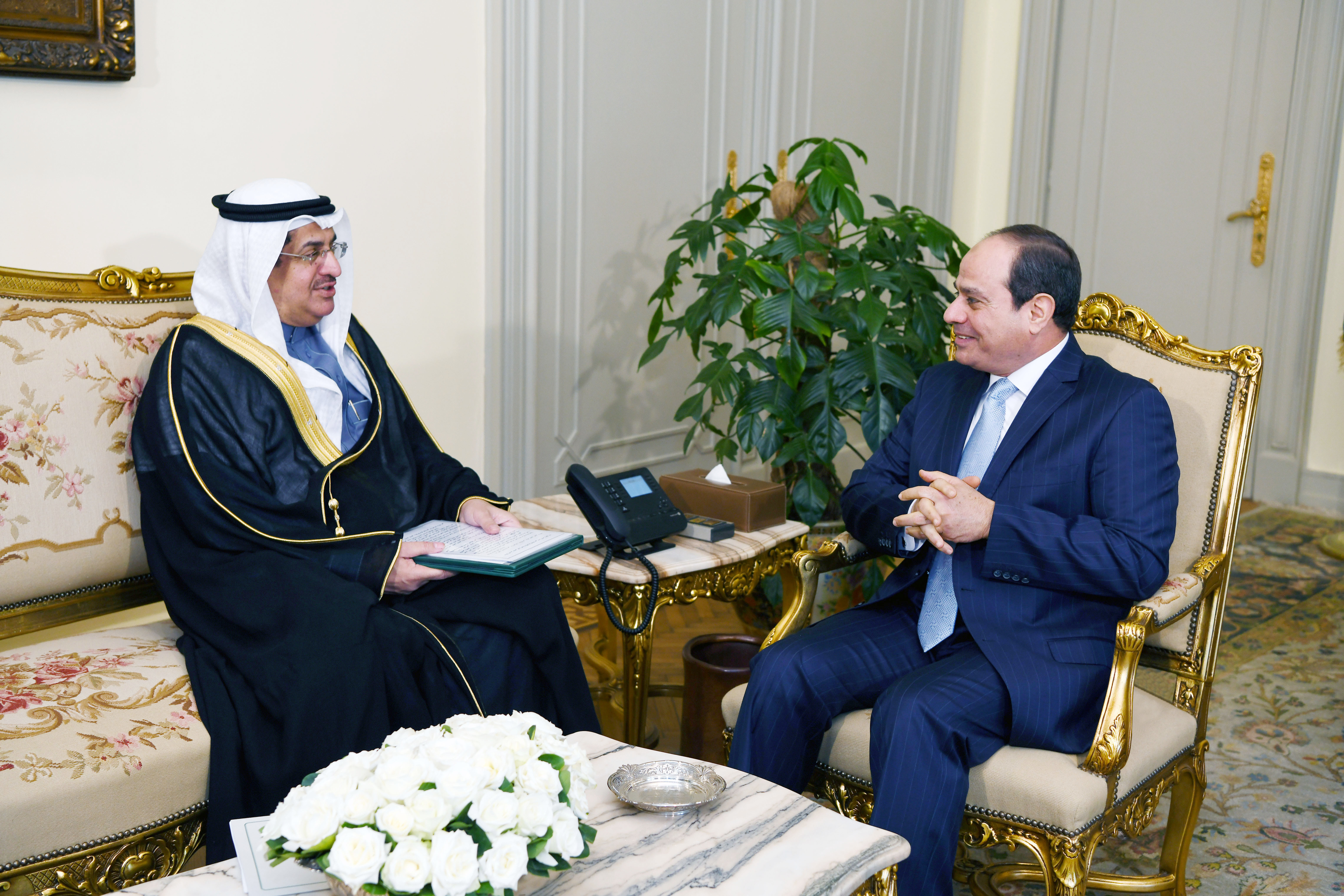 الرئيس السيسى