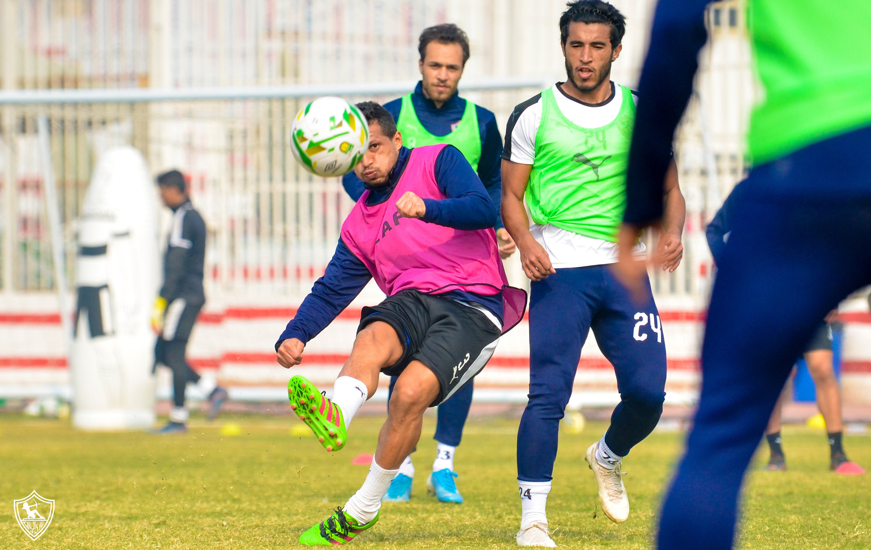 مران الزمالك