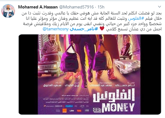 تامر حسنى