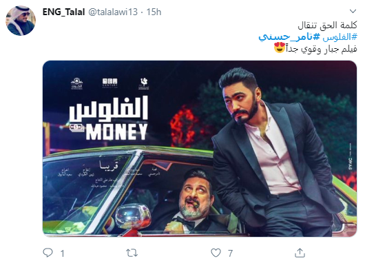 تامر حسنى
