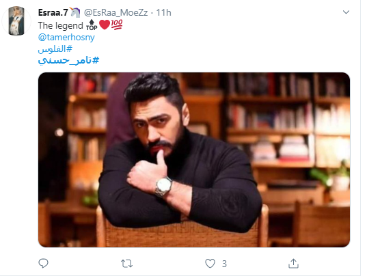 تامر حسنى