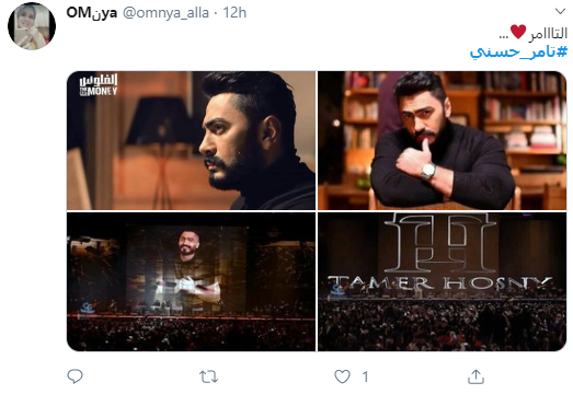 تامر حسنى