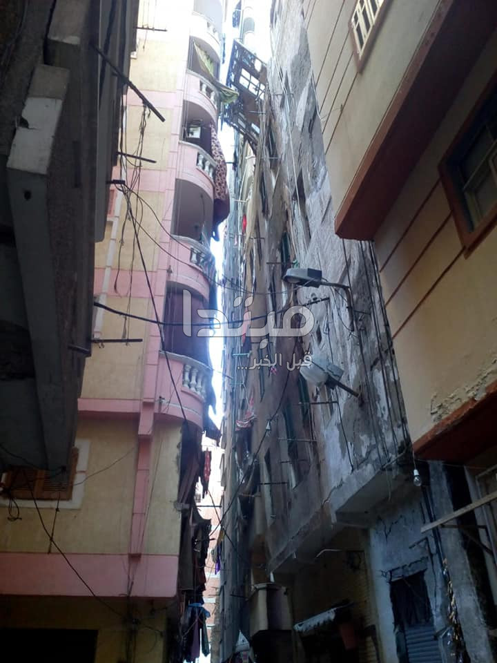 عقار الإسكندرية