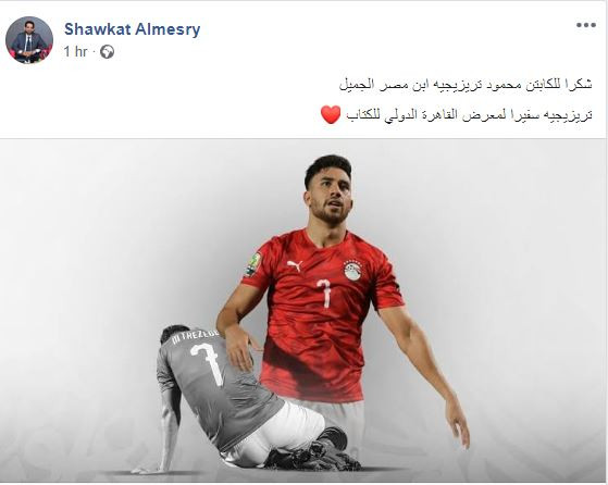 تريزيجيه