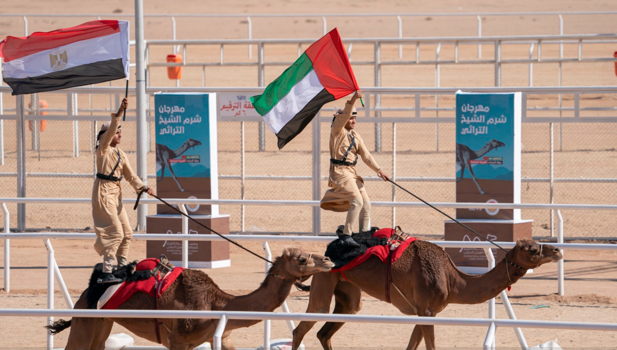مهرجان شرم الشيخ التراثى