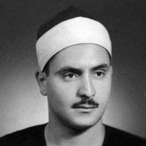 محمد صديق المنشاوى
