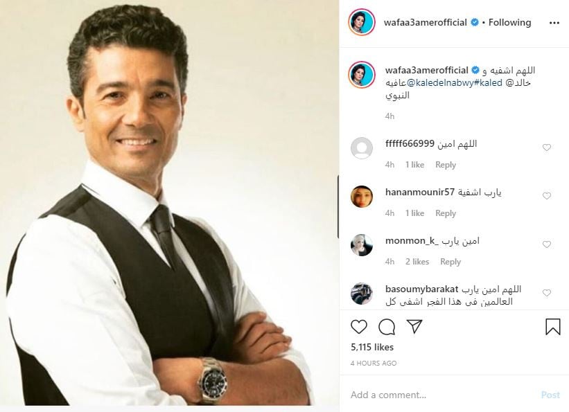 وفاء عامر