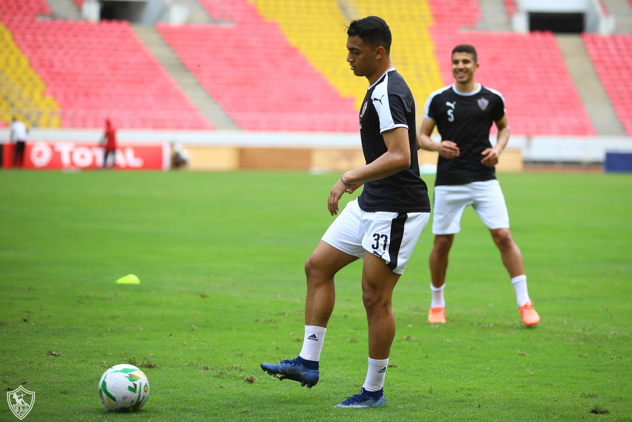 مصطفى محمد