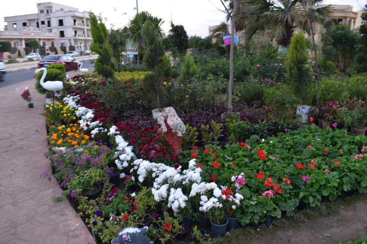 نباتات