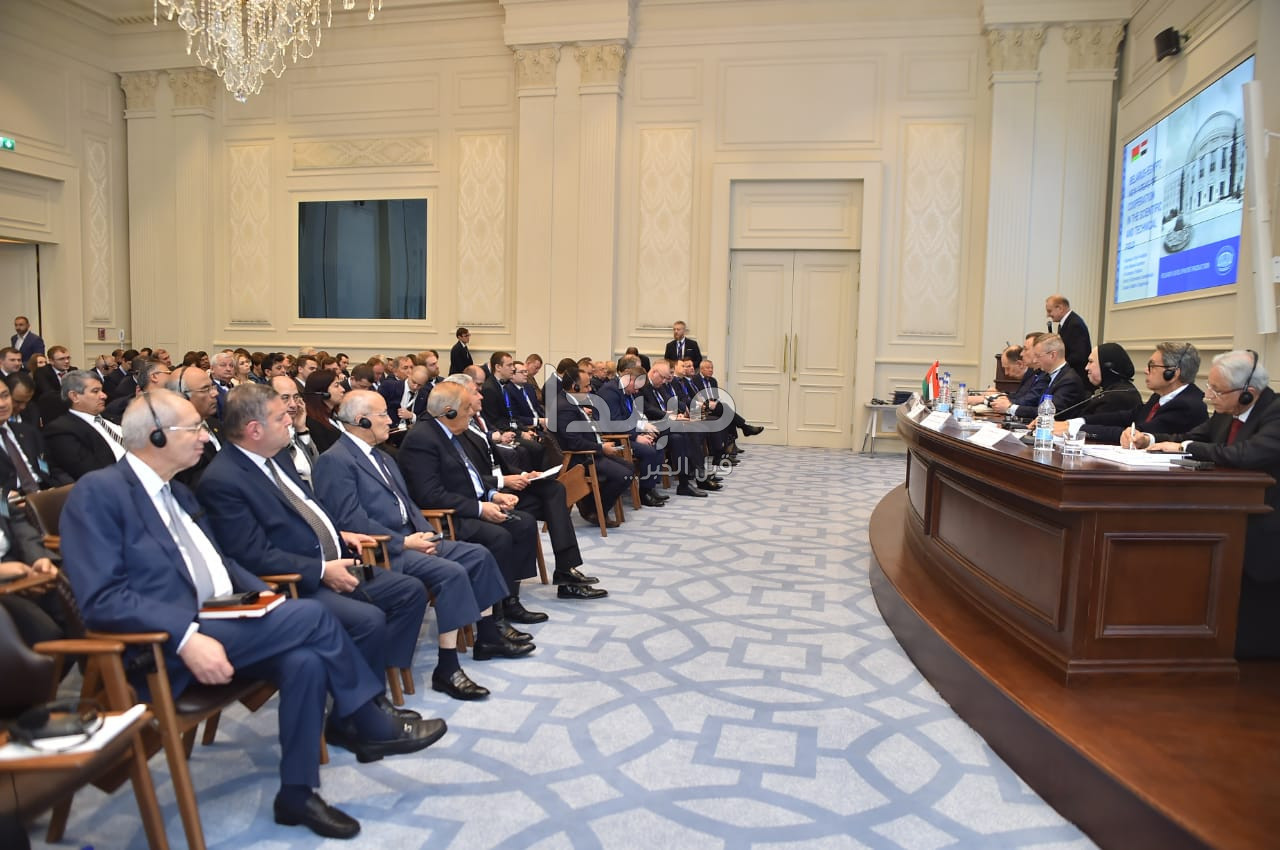 مجلس الأعمال المشترك المصرى البيلاروسى