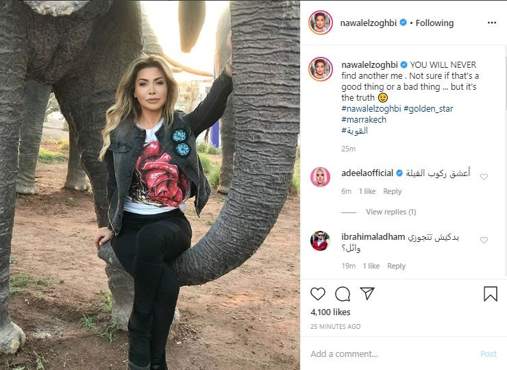 نوال الزغبى
