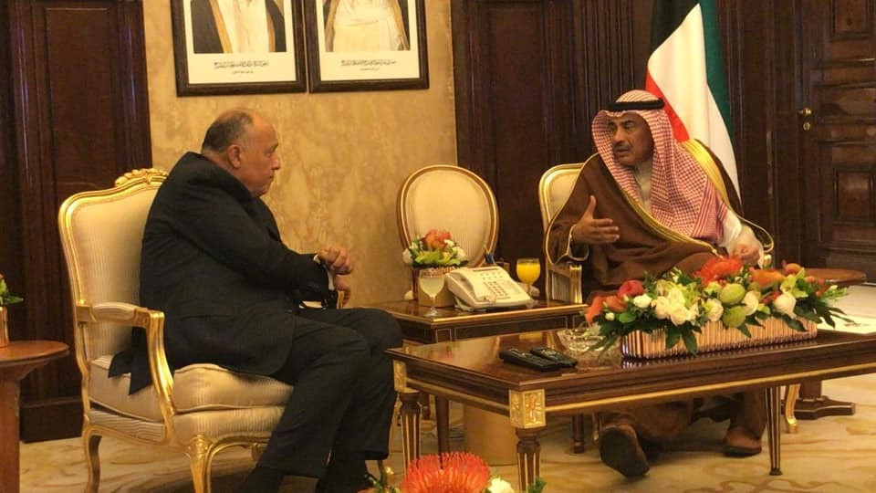 سامح شكرى