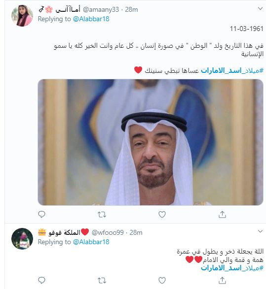 أسد الإمارات