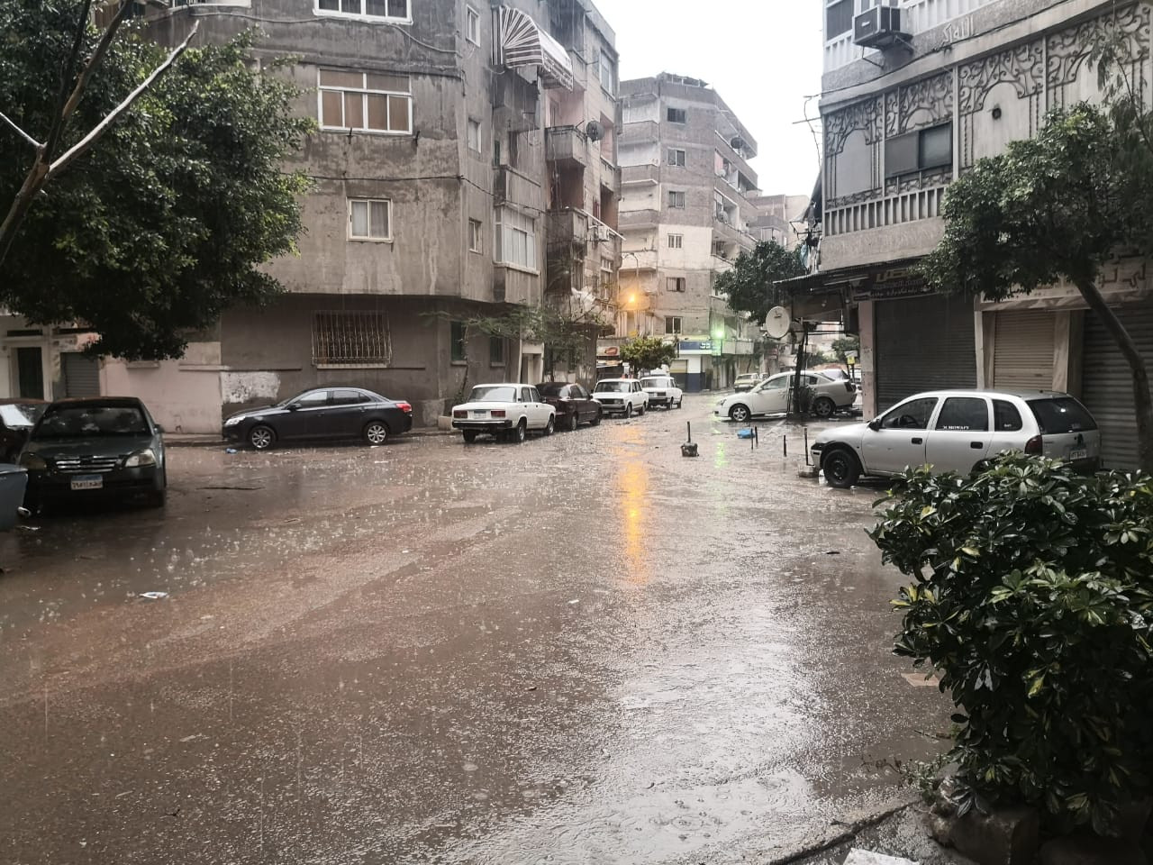 أمطار رعدية تضرب الإسكندرية