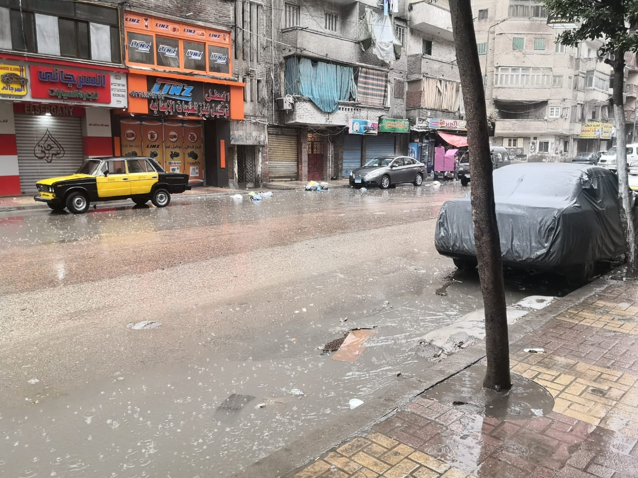 أمطار رعدية تضرب الإسكندرية
