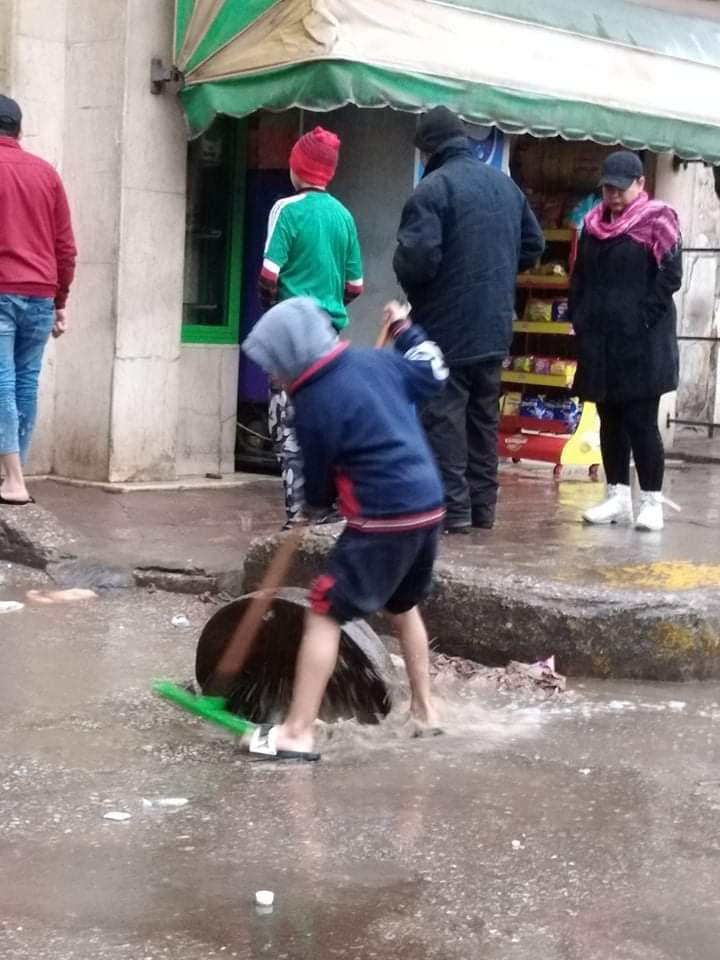 الحرية المصرى
