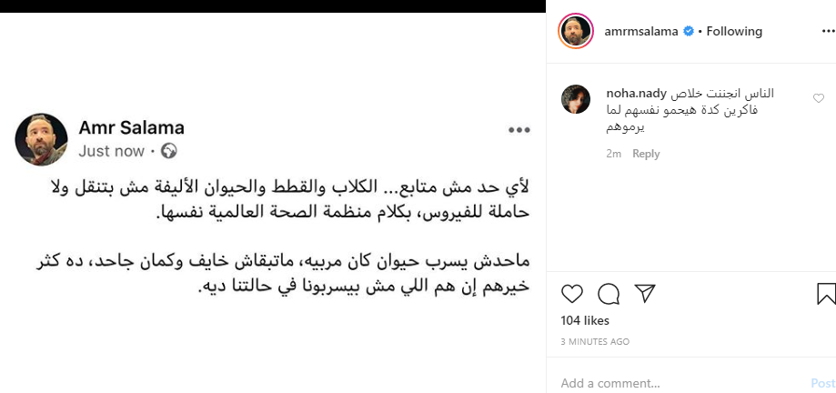 عمرو سلامة
