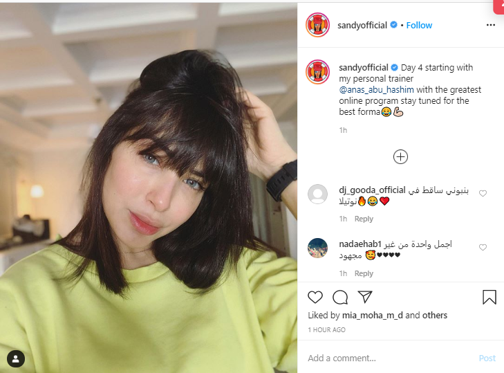 ساندى