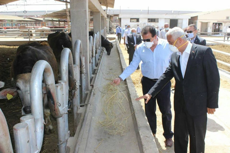 الجامعات المصريه تساهم في تحقيق الأمن الغذائي المصري