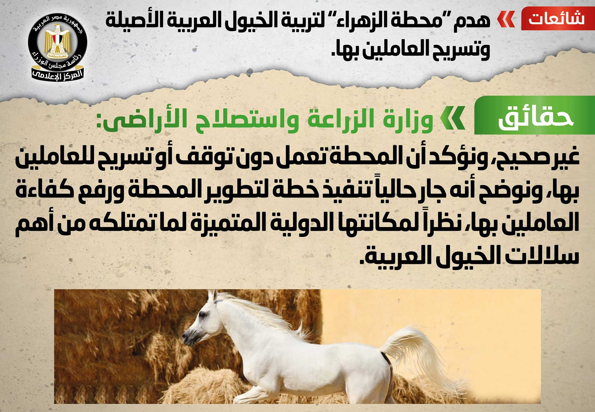 الحكومة تنفى شائعات جديد