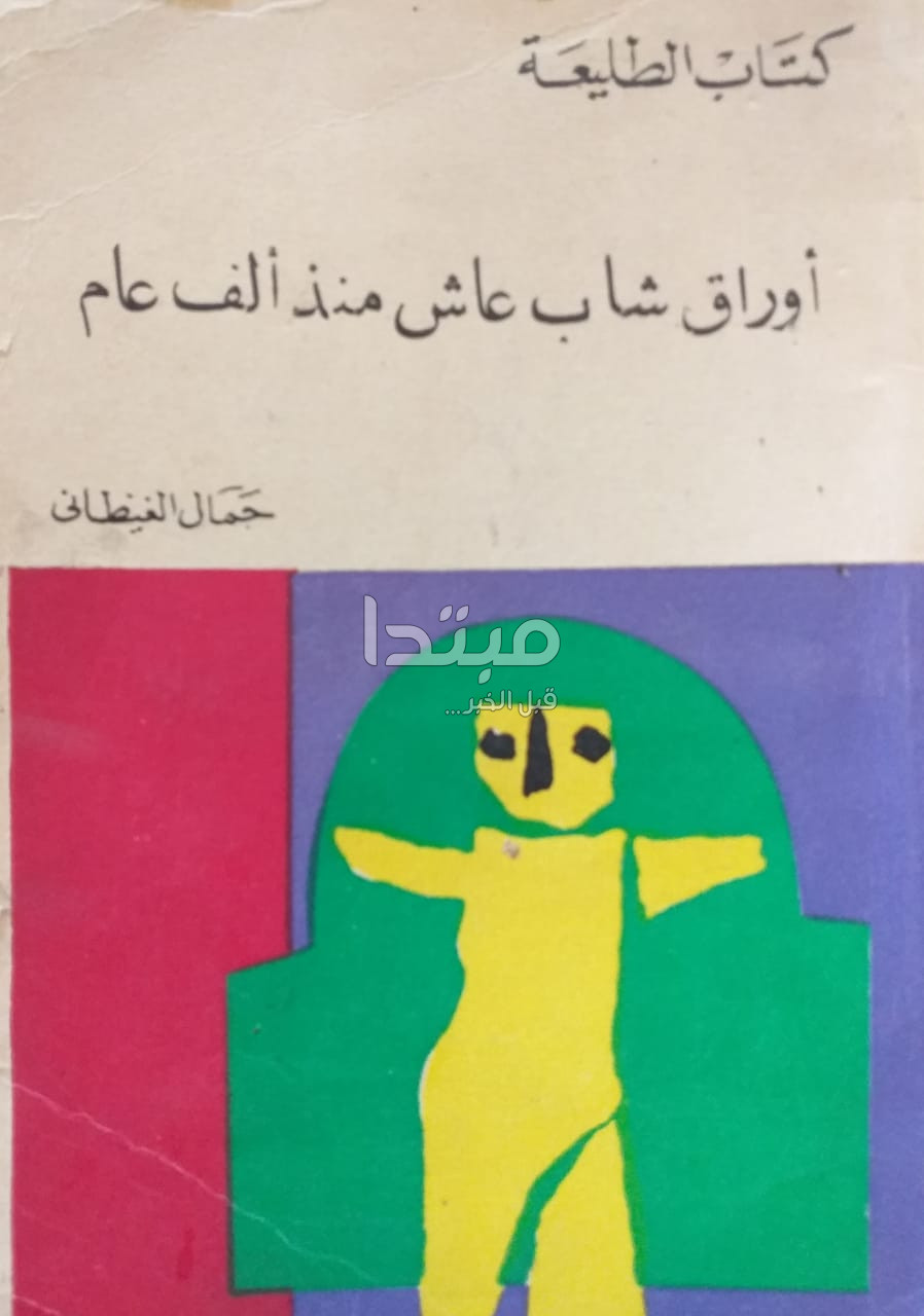 جمال الغيطانى