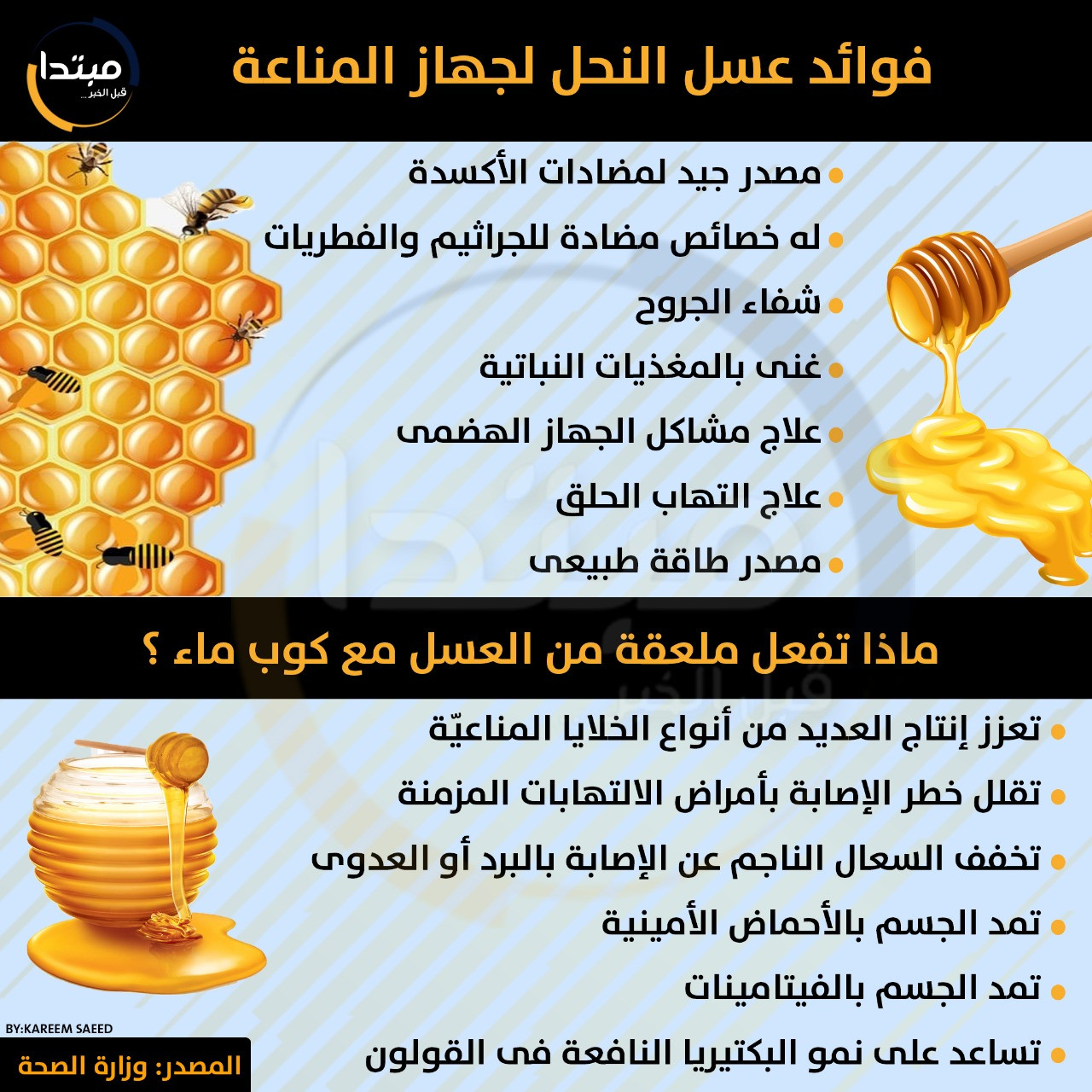 إنفوجراف .. فوائد عسل النحل لجهاز المناعة