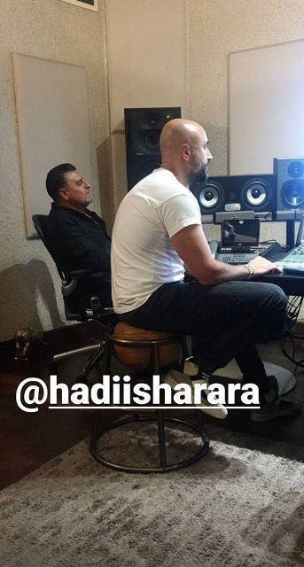 نوال الزغبى