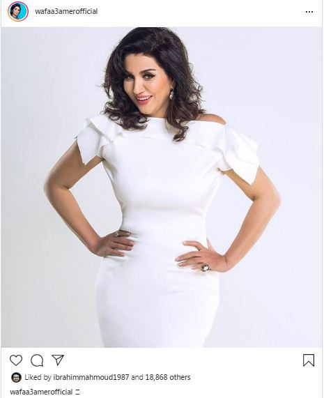 وفاء عامر