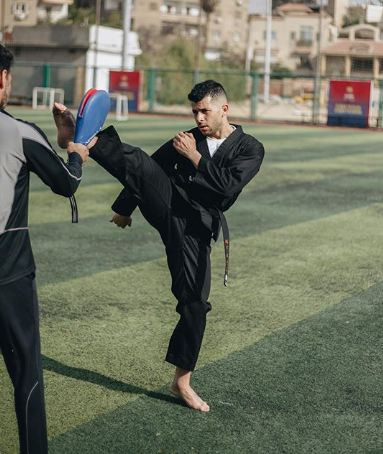 رامز أمير