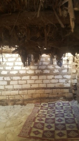 التضامن تنقذ سيدة المنيا بعد أن حبسها شقيقها 22 عاما