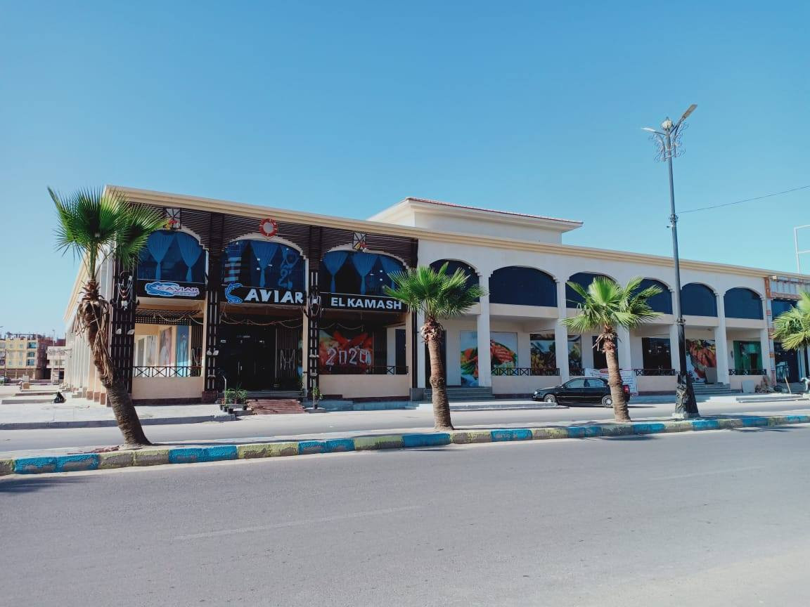 سوق السمك بالإسماعيلية