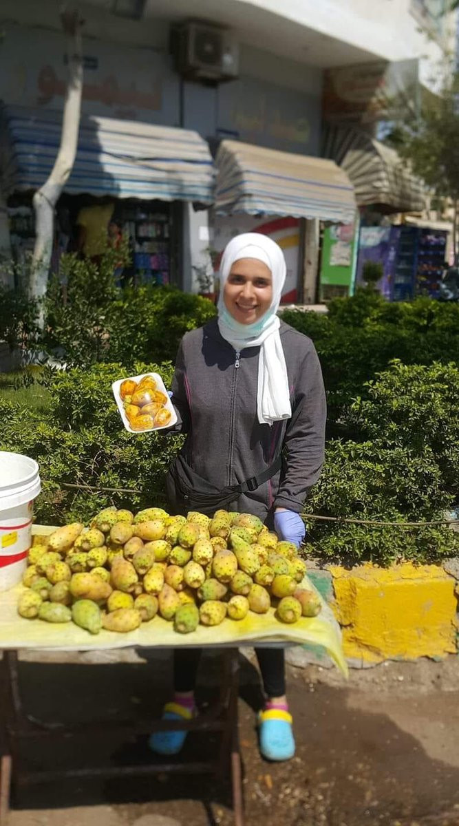هبة اكاديمية الطيران