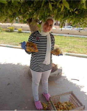 هبة اكاديمية الطيران