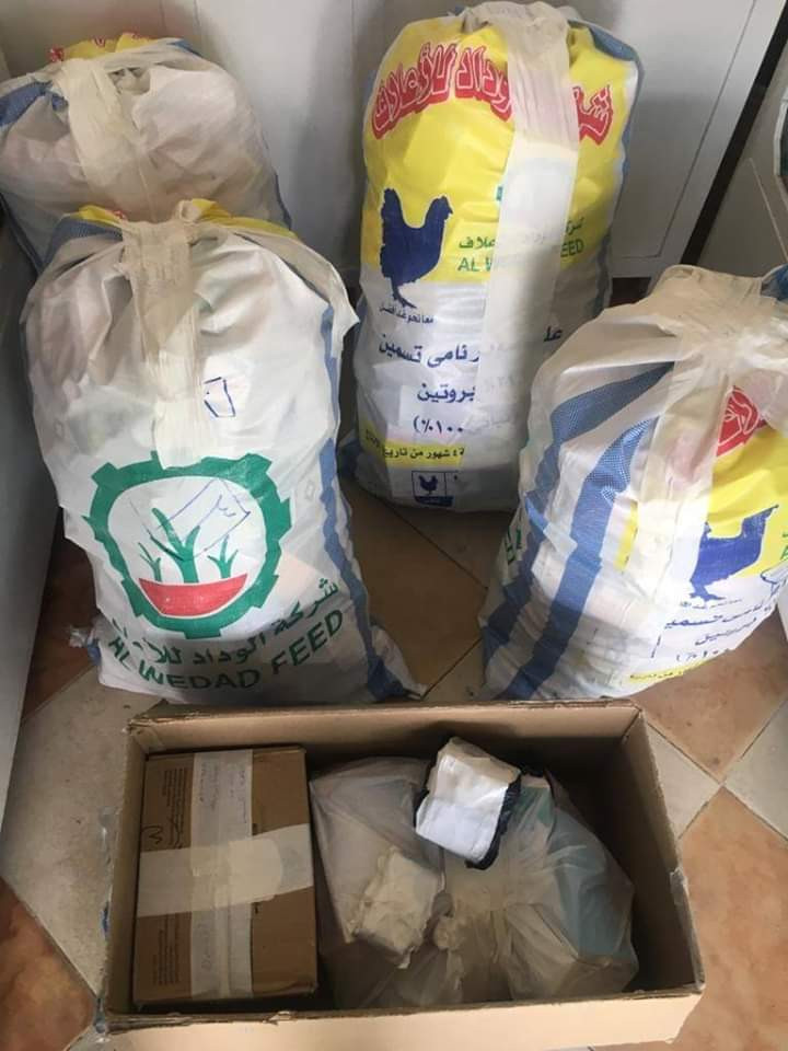 صحة الشرقية