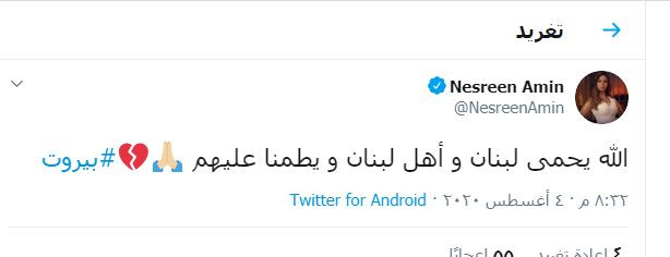 الفنانة نسرين أمين