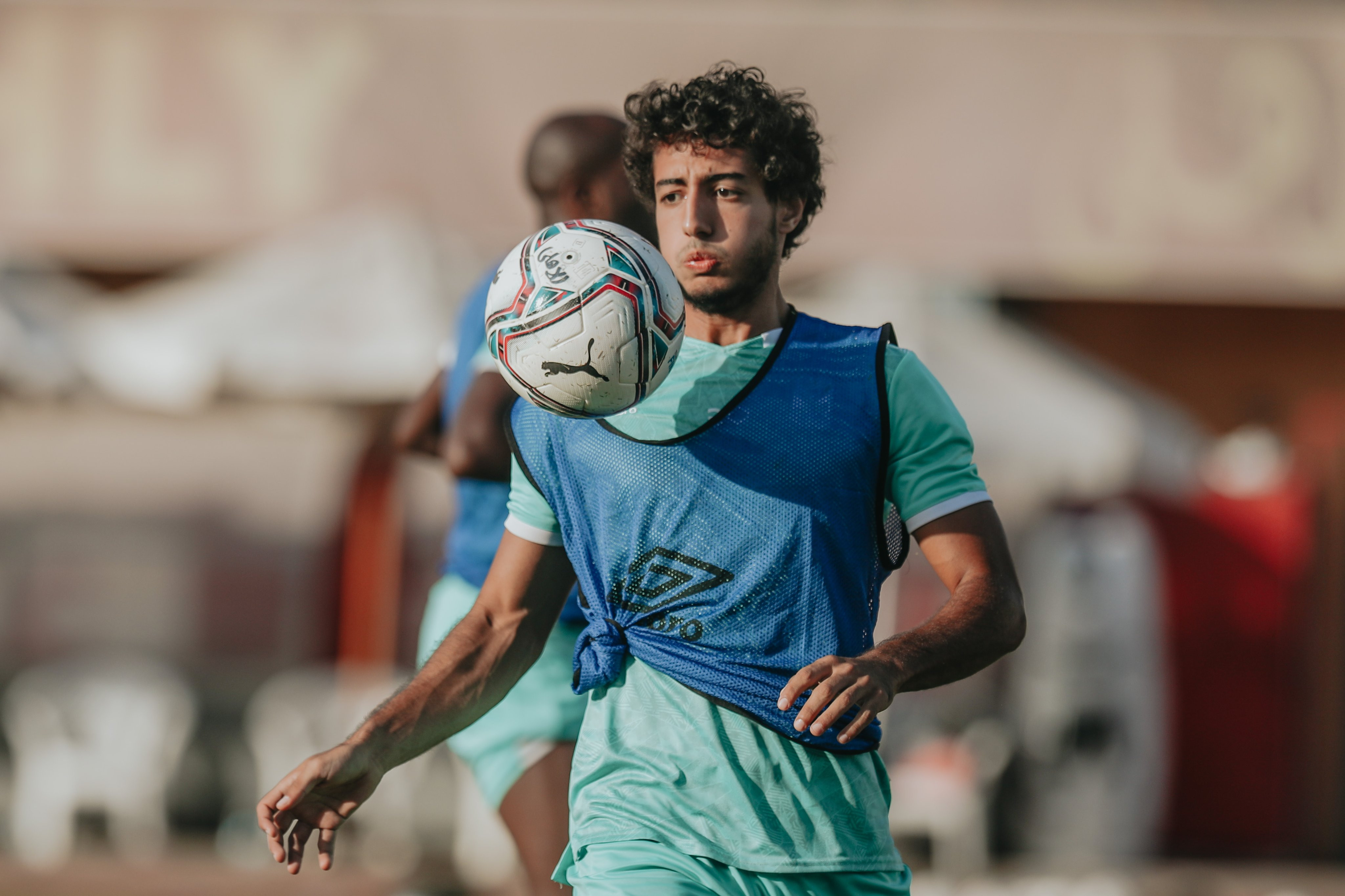 محمد هانى