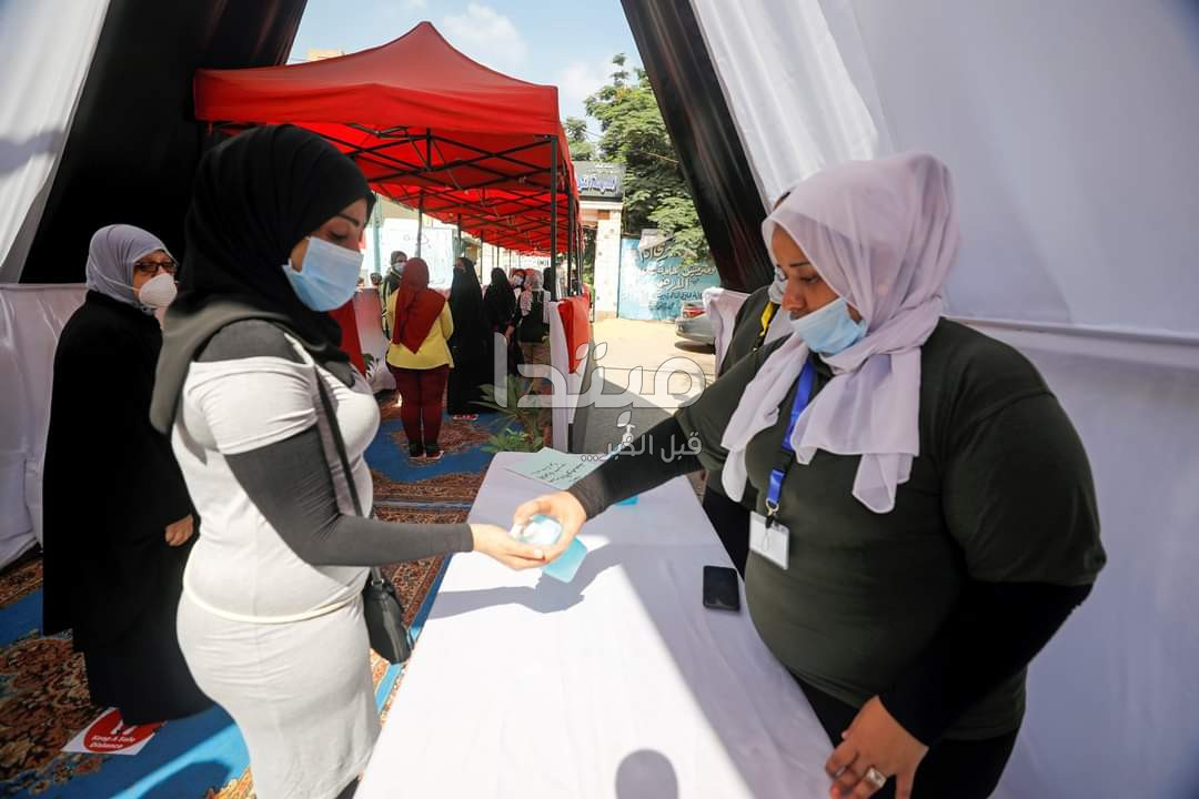 انتخابات الشيوخ 2020