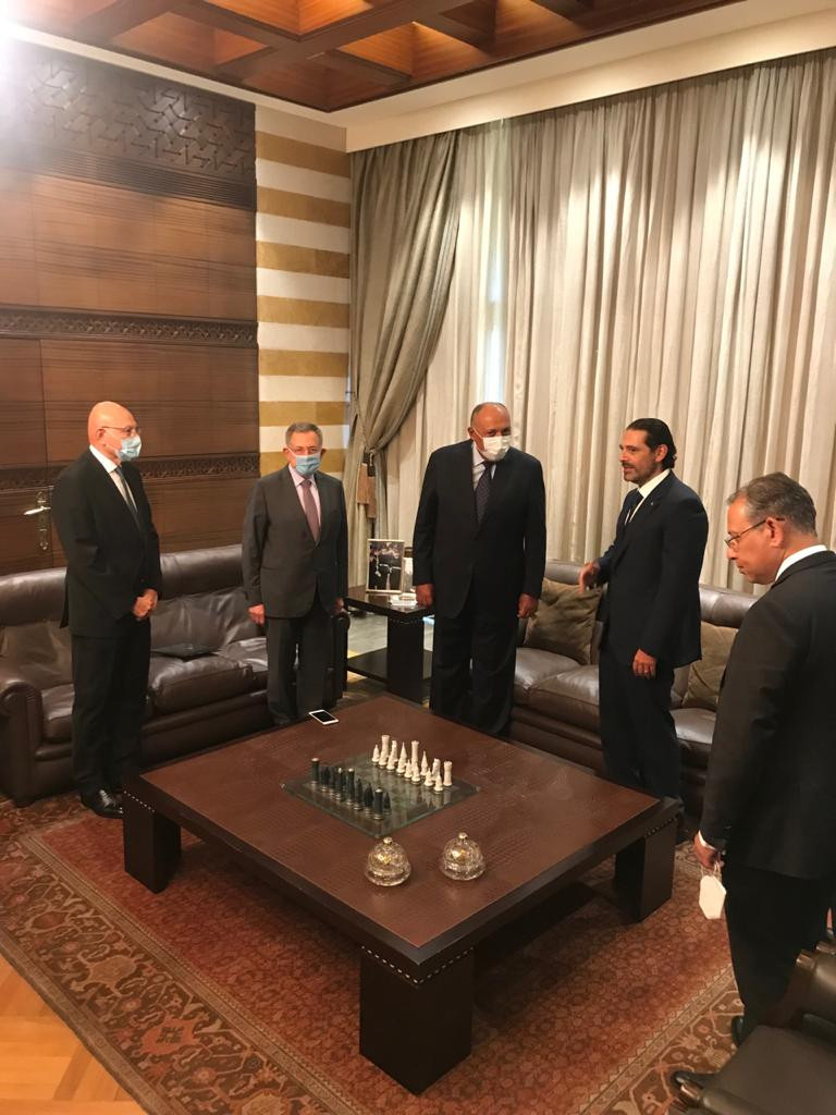 سامح شكرى