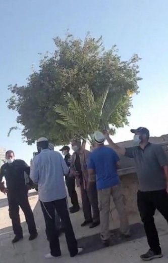 صور المستوطنون داخل المسجد الأقصى