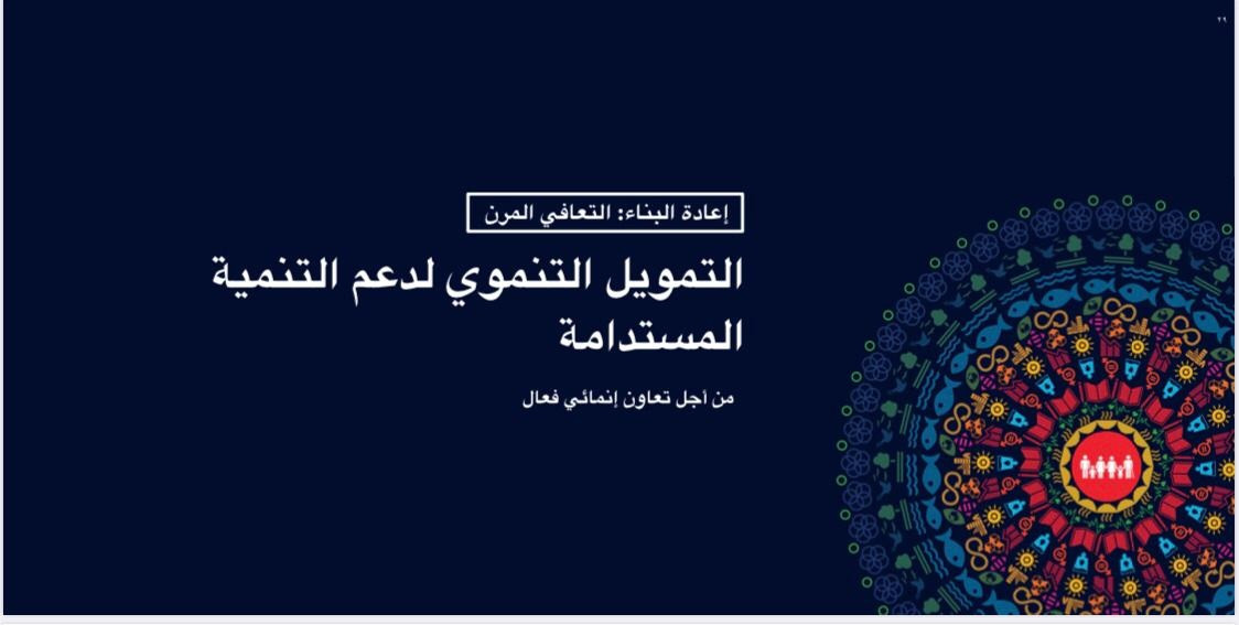 وزيرة التعاون الدولى