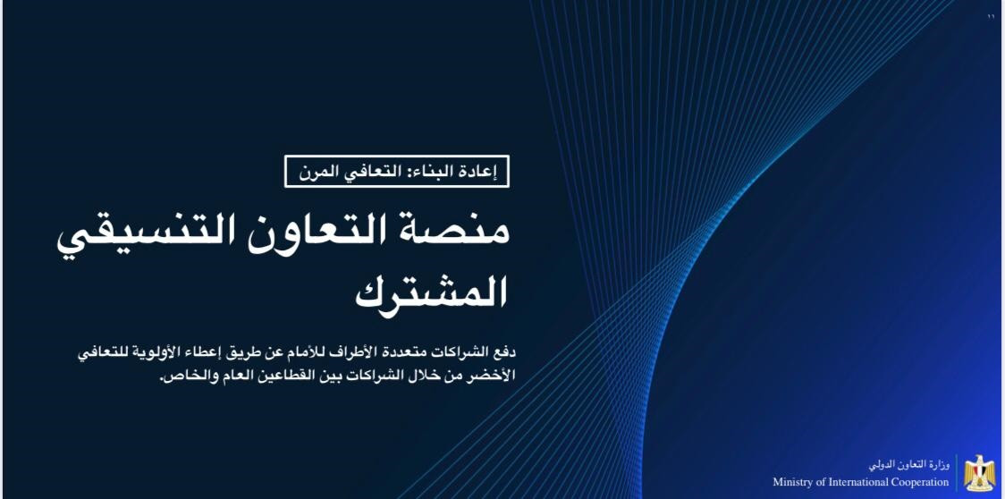 وزيرة التعاون الدولى