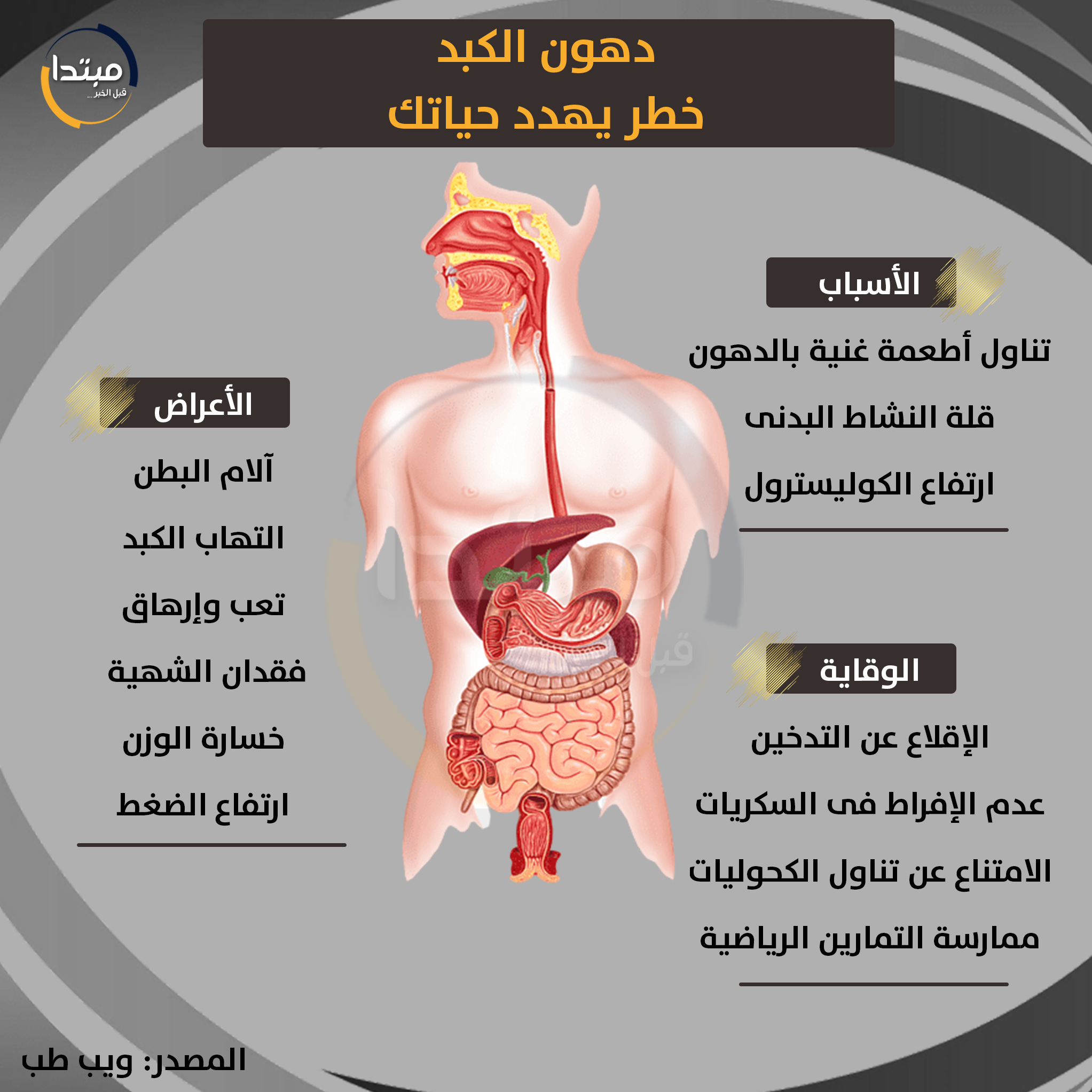دهون الكبد