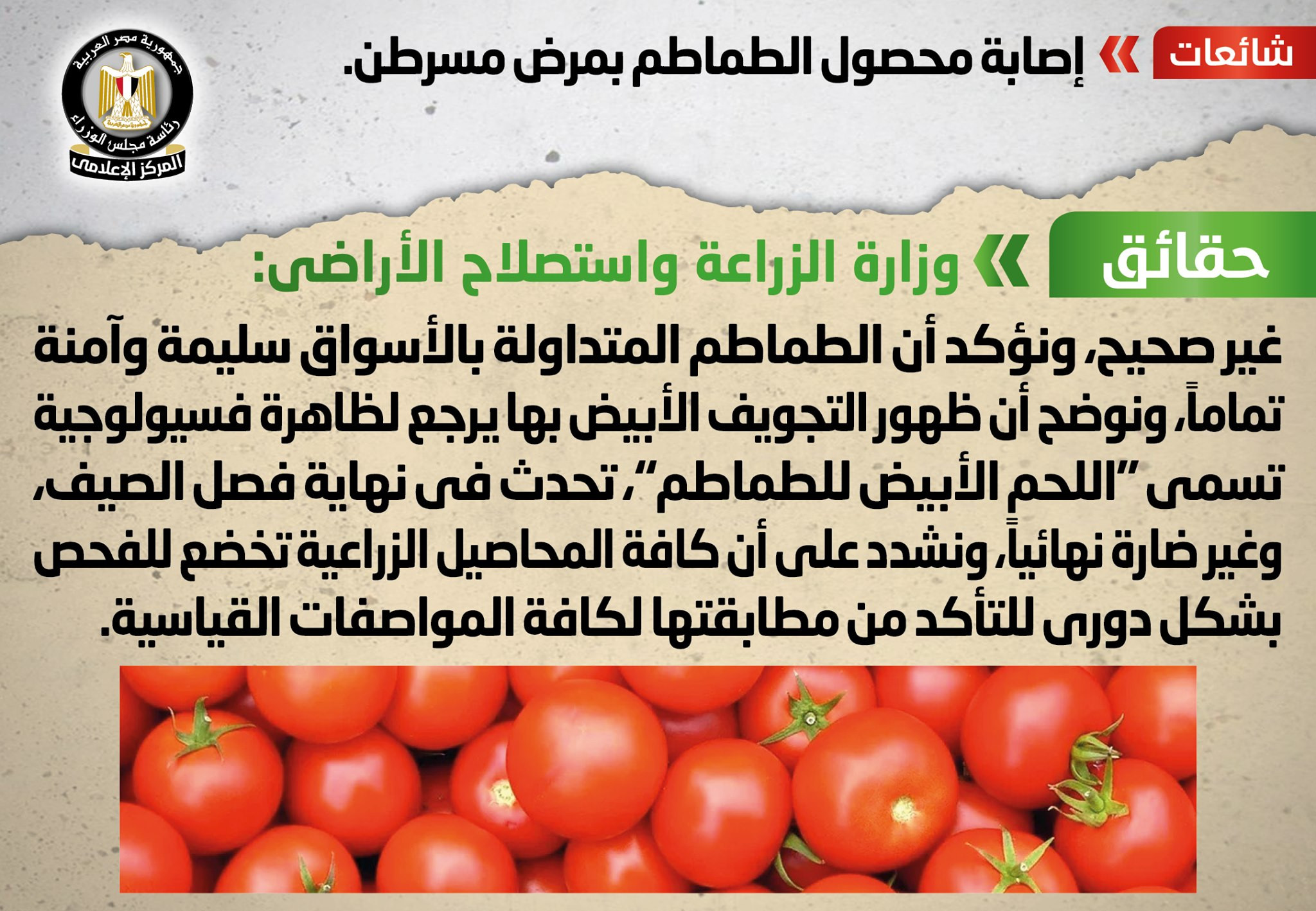 تقرير توضيح الحقائق