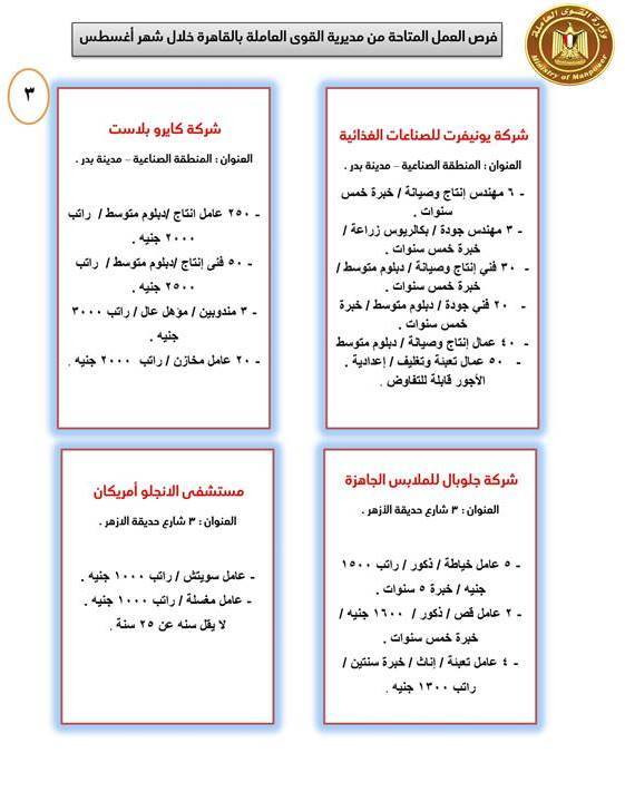 القوى العاملة