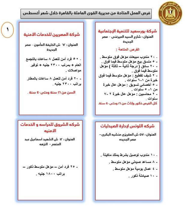 القوى العاملة
