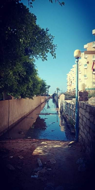 استجابة فورية من المصريين الأحرار لشكاوى أهالى مساكن السعودية بمطروح