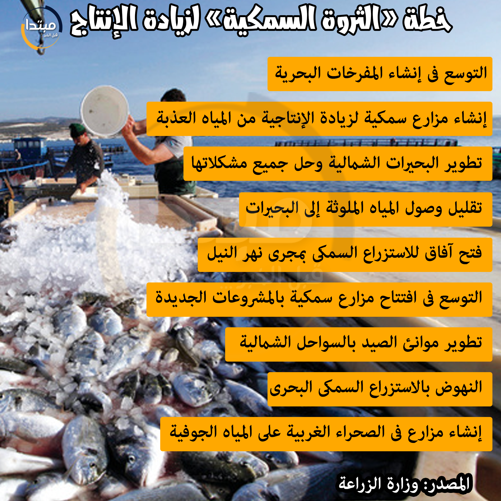 إنفوجراف .. خطة الثروة السمكية لزيادة الإنتاج