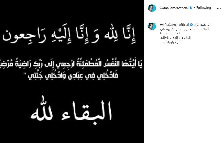 وفاء عامر